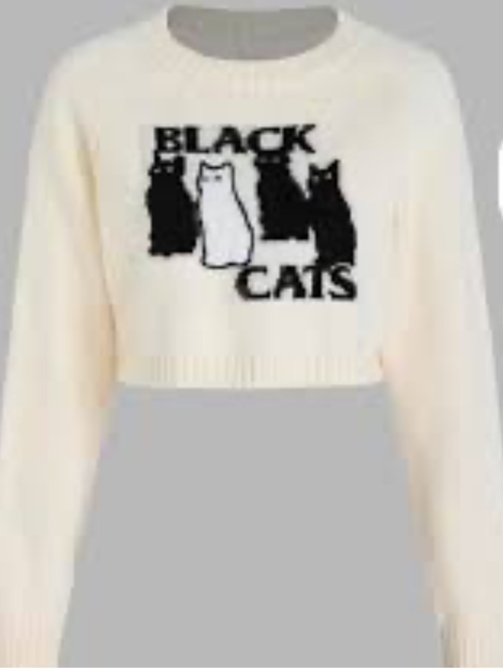 Cider cropped Cats' Graphic Sweater black cats Halloween design